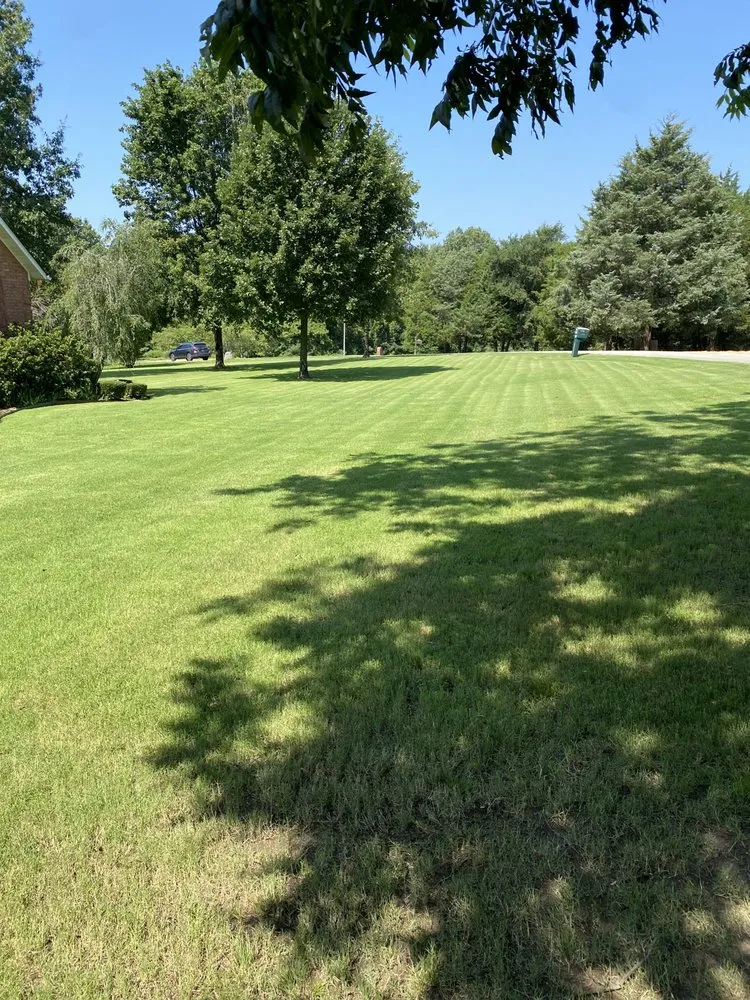 Top-rated yard cleanup service experts serving Paragould, AR - Lacey Lawn and Construction