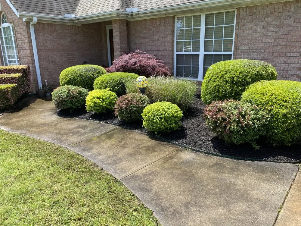 Professional yard maintenance for beautiful yards in Paragould, AR by Lacey Lawn and Construction