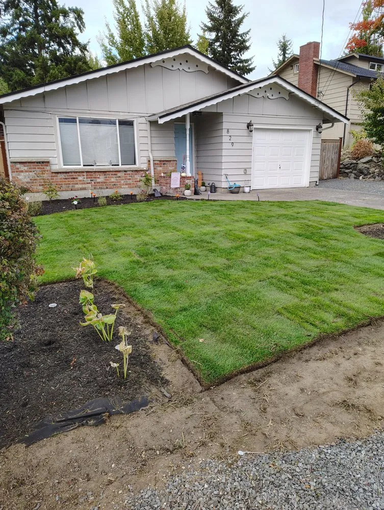 Local landscape installation in Tacoma, WA - Lacey's Landscaping