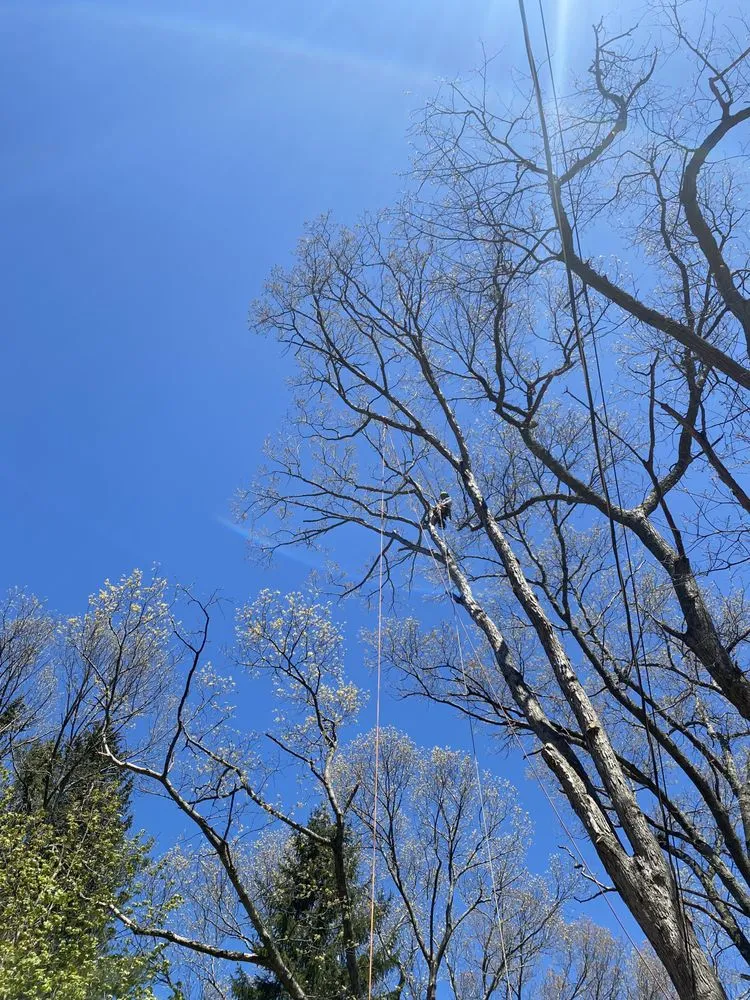 Local outdoor landscaping in Gloucester, MA by LaChance Tree Professionals