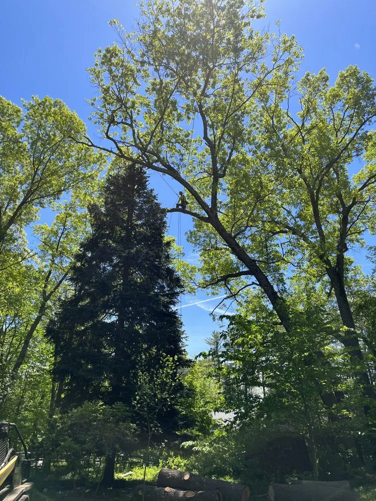 Top-rated landscape installation in Gloucester, MA by LaChance Tree Professionals