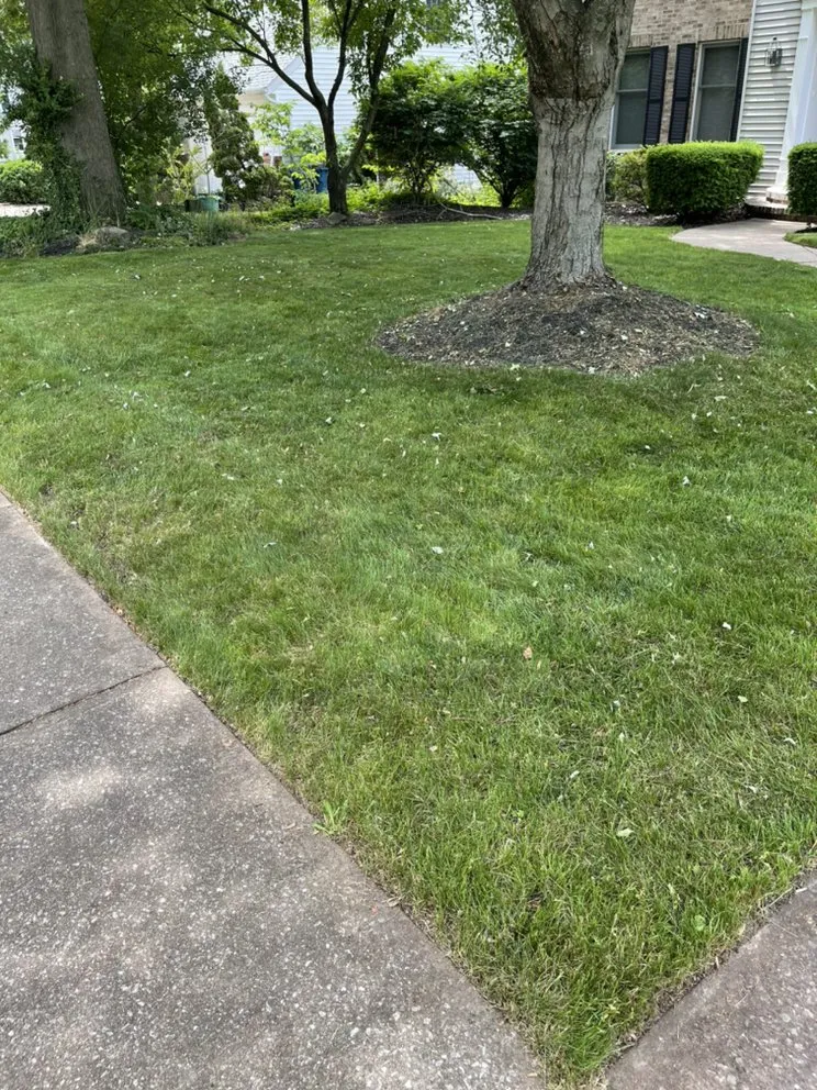 Reliable garden landscaping in Mayfield, OH - Lackeys Incredible Landscaping