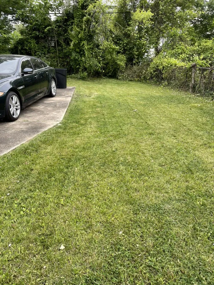 Local garden landscaping for beautiful yards across Mayfield, OH - Lackeys Incredible Landscaping