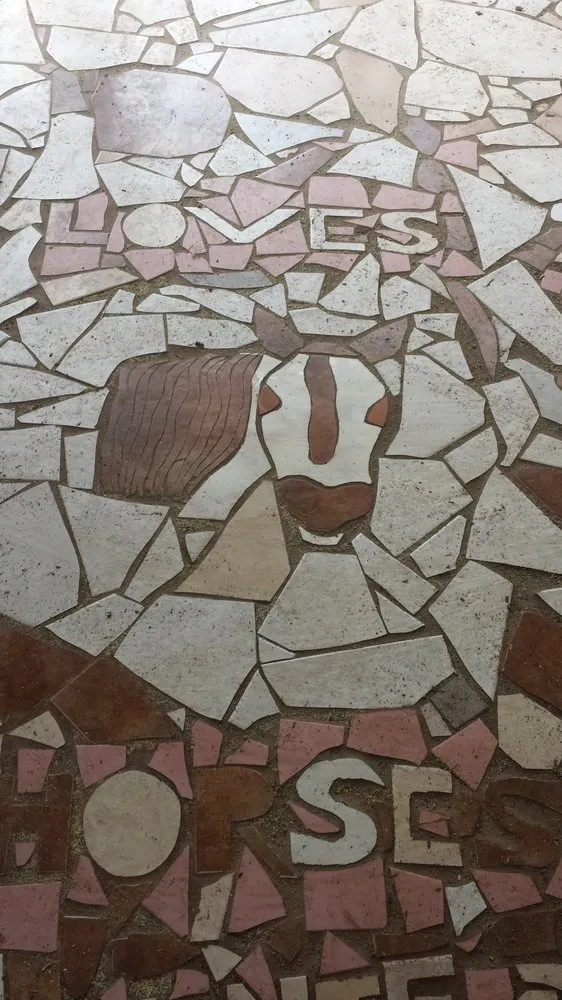 Custom yard maintenance for residential properties across Kenner, LA - Lacoste Lawn Maintenance