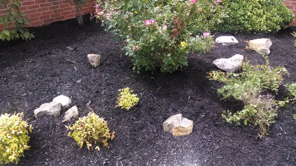 Reliable lawn care service for homes across Midwest City, OK - Ladan Lawnscapes