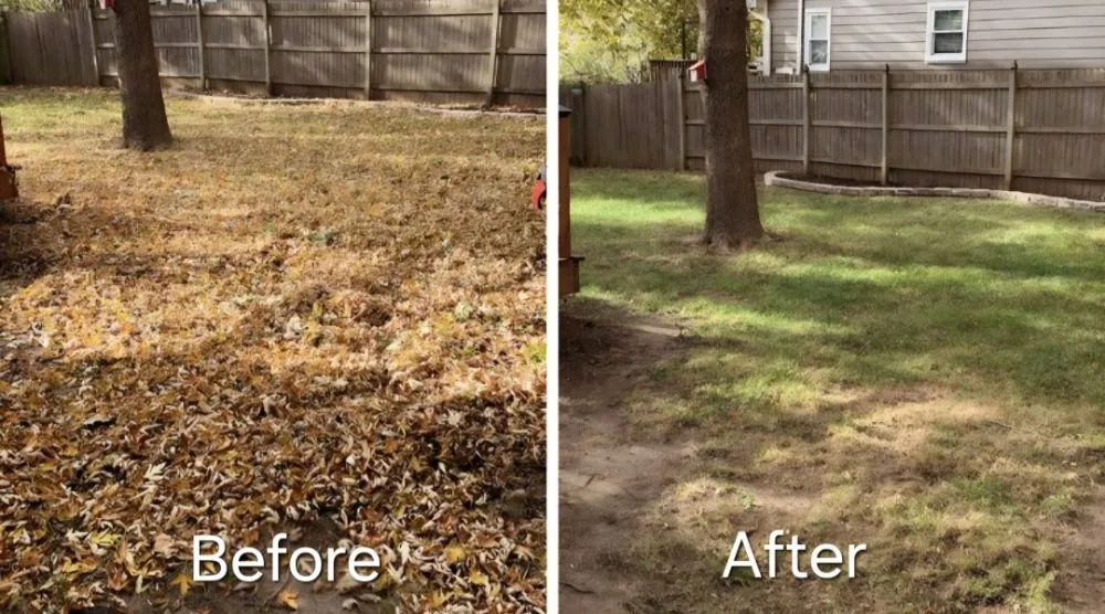 Expert yard cleanup service for homes in Columbia, MO by Ladd & Co.