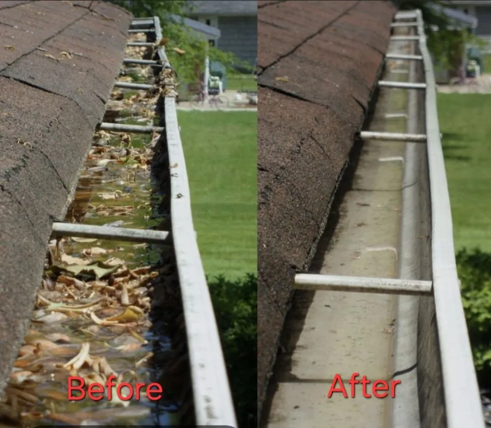 Custom yard maintenance experts serving Columbia, MO - Ladd & Co.