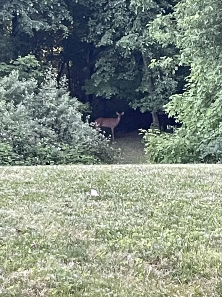 Reliable landscape design in Mansfield, OH by Ladd & Son Lawn Keeping