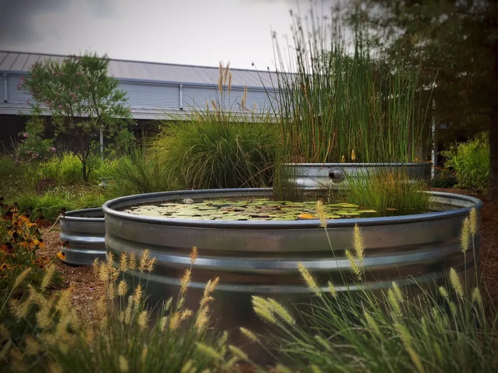 Custom yard cleanup service in New Braunfels, TX by Ladera Design