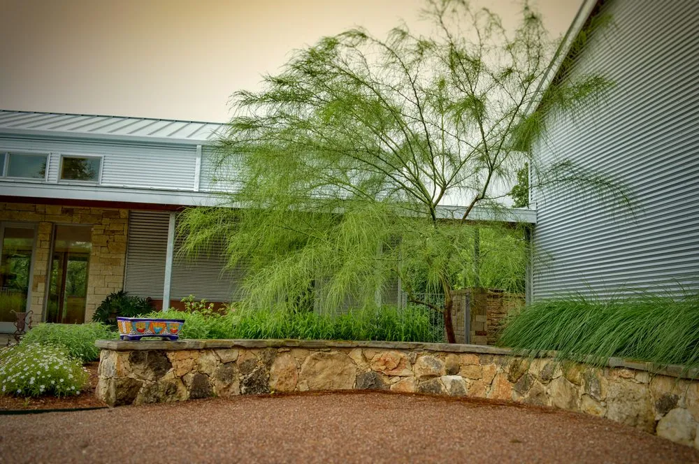 Local landscape design for beautiful yards across New Braunfels, TX - Ladera Design