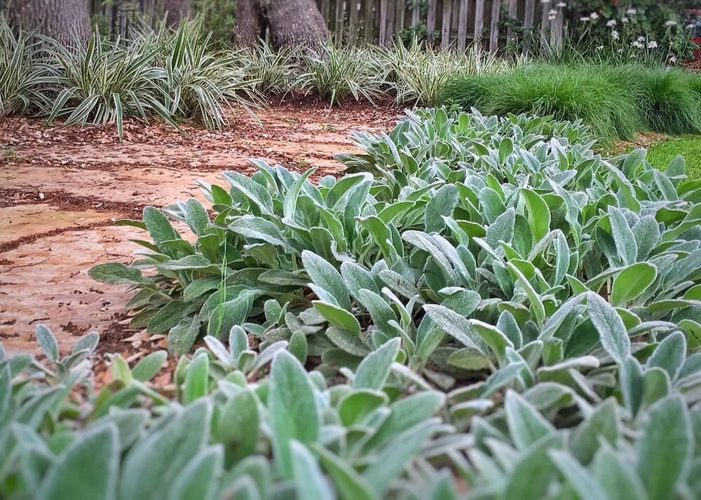 Reliable outdoor landscaping experts serving New Braunfels, TX - Ladera Design