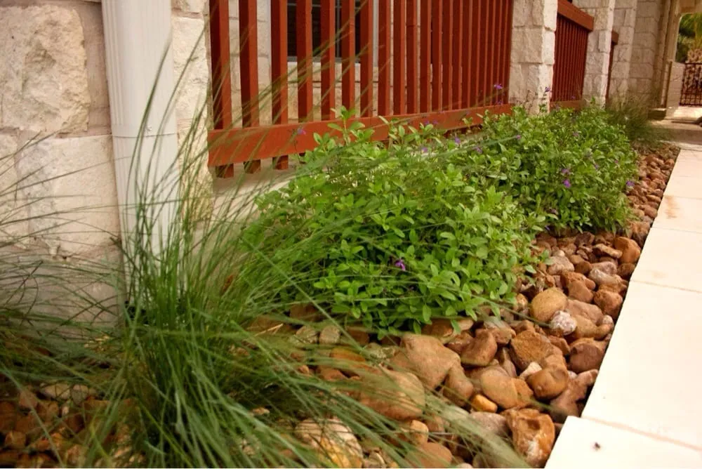 Trusted residential landscaping for residential properties in New Braunfels, TX by Ladera Design