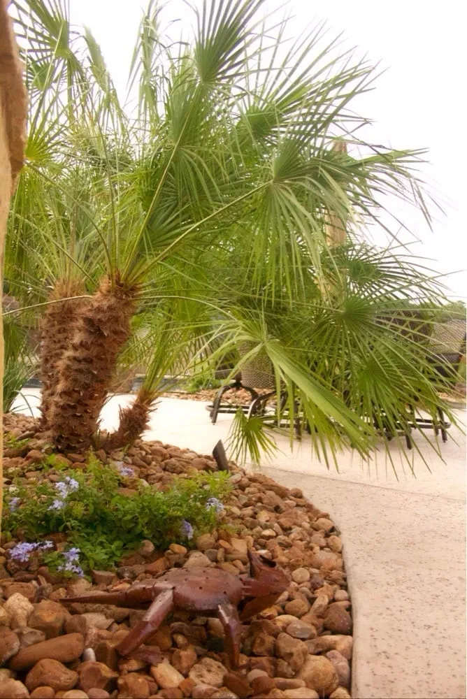 Trusted landscape installation for outdoor upgrades across New Braunfels, TX - Ladera Design
