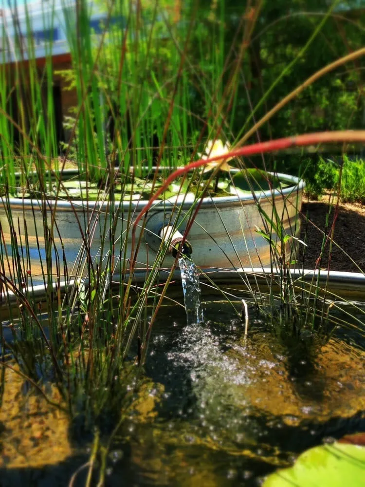 Local yard maintenance in New Braunfels, TX by Ladera Design