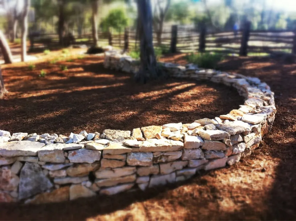 Trusted yard cleanup service experts serving New Braunfels, TX - Ladera Design