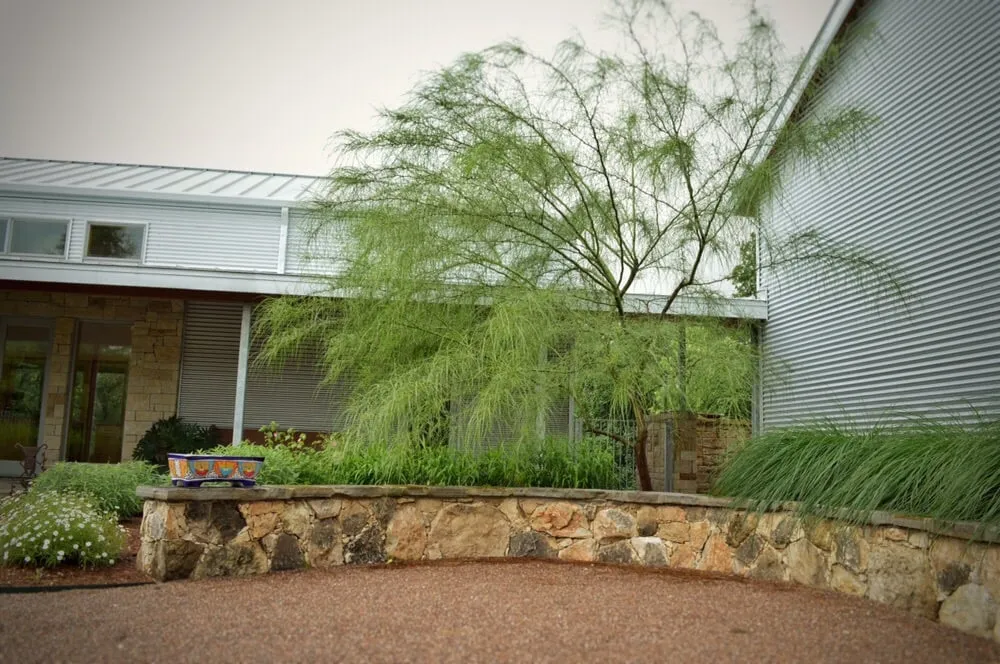 Professional yard cleanup service experts serving New Braunfels, TX - Ladera Design