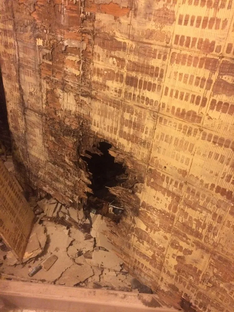 Local landscape installation for beautiful yards in San Jose, CA by Ladiferencia Home & Garden Services