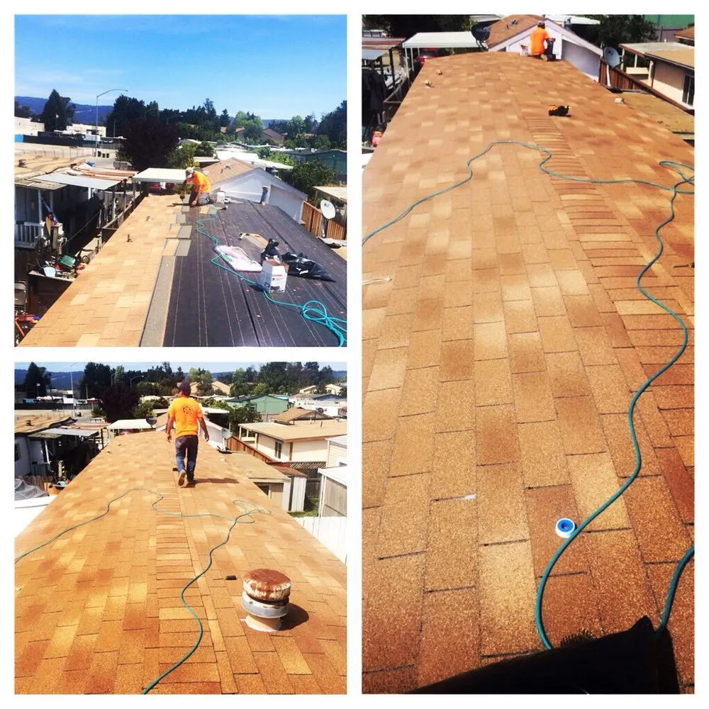 Reliable outdoor landscaping for homes in San Jose, CA by Ladiferencia Home & Garden Services