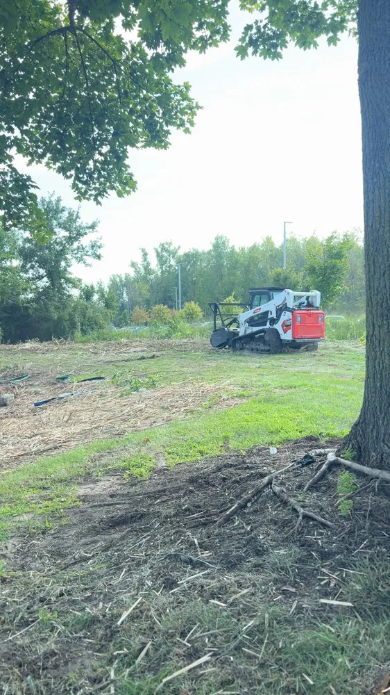 Expert lawn care service in Stockbridge, MI - Lads Lawn care