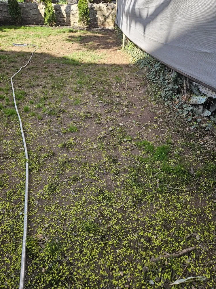 Trusted garden landscaping experts serving Norristown, PA - Ladson Landscaping Services