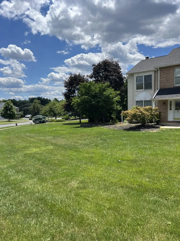 Reliable lawn mowing service near you in Norristown, PA by Ladson Landscaping Services