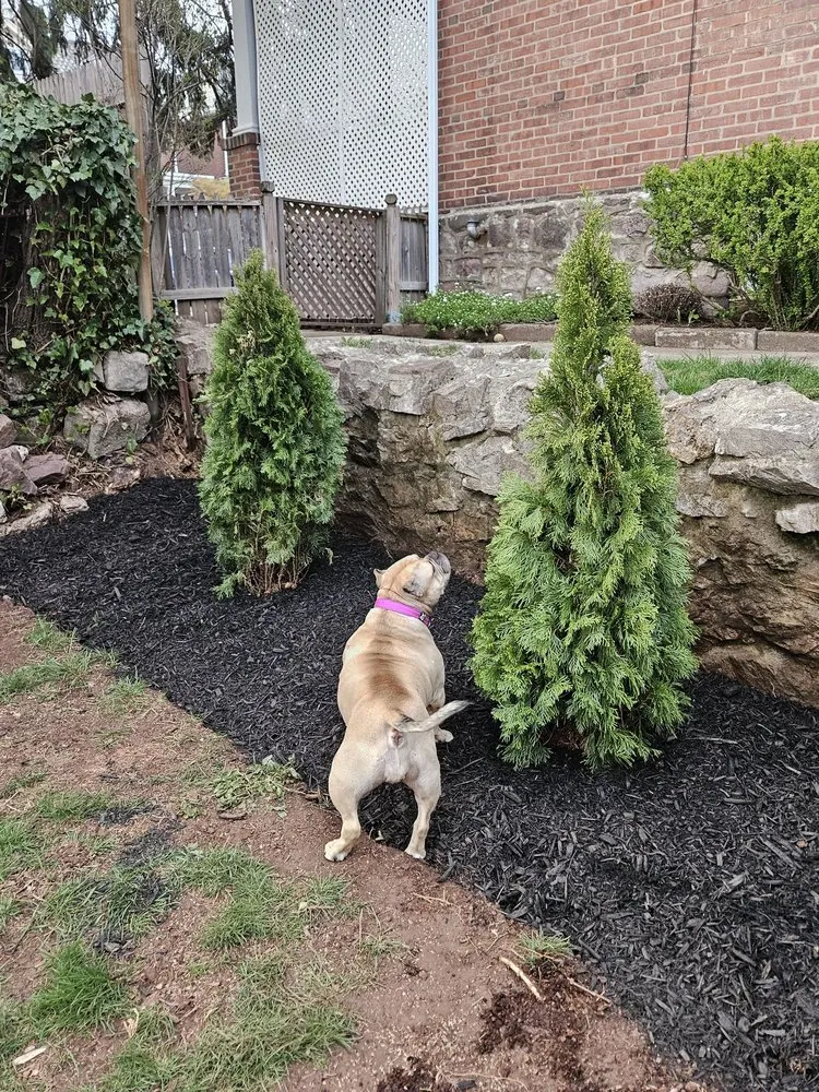 Local landscape design experts serving Norristown, PA - Ladson Landscaping Services