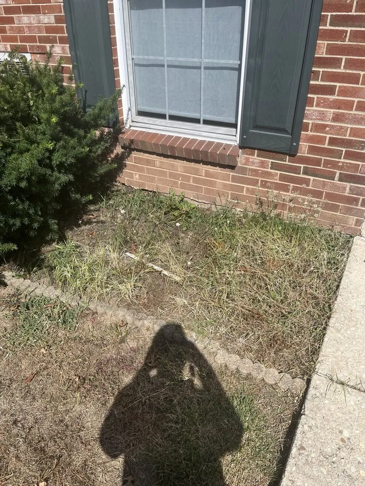 Professional landscaping services in Norristown, PA - Ladson Landscaping Services