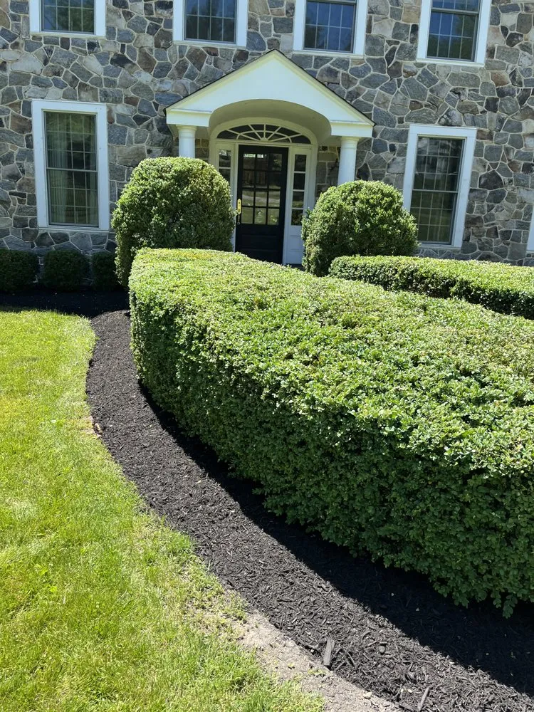 Professional landscape installation for residential properties in Norristown, PA by Ladson Landscaping Services