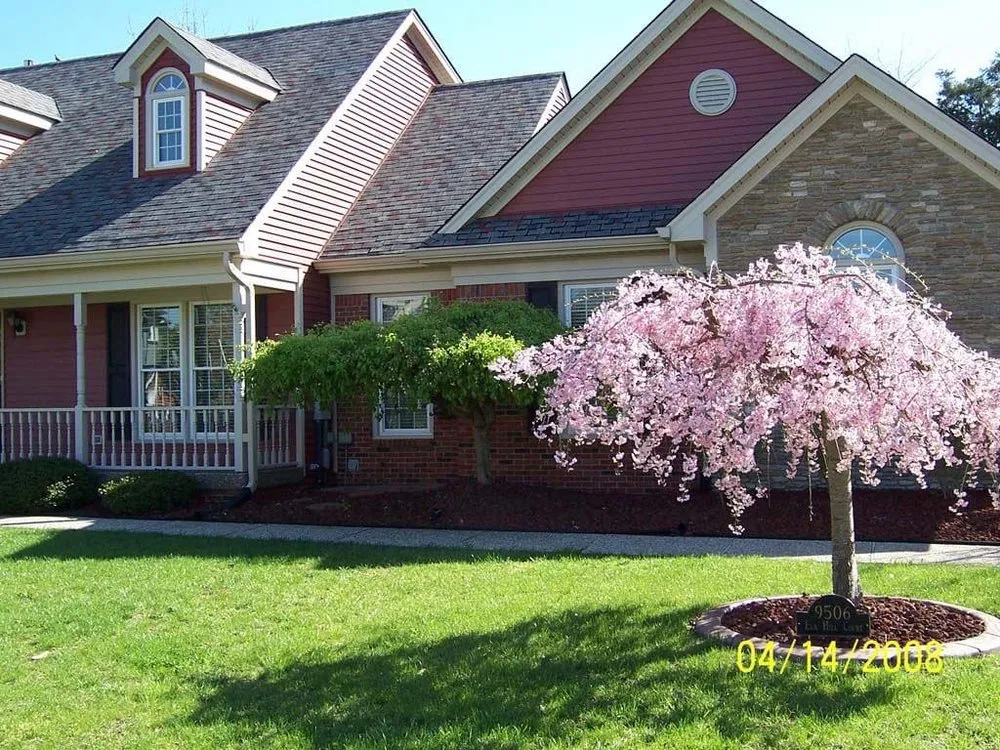 Local yard cleanup service experts serving Greenville, IN - LaDuke's