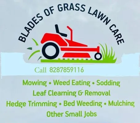 Lady lawn N Care Logo