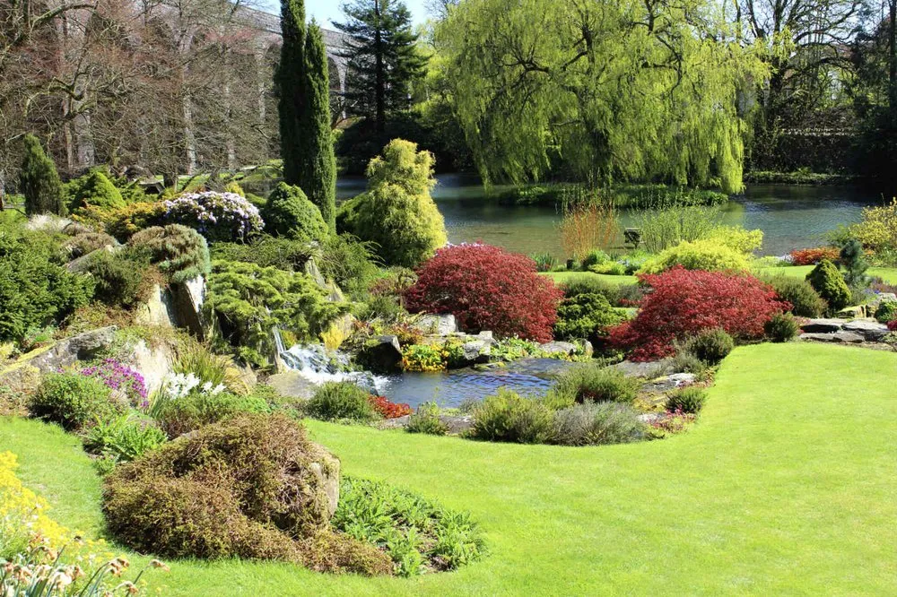 Top-rated garden landscaping near you in Ann Arbor, MI by Lady MacGyver