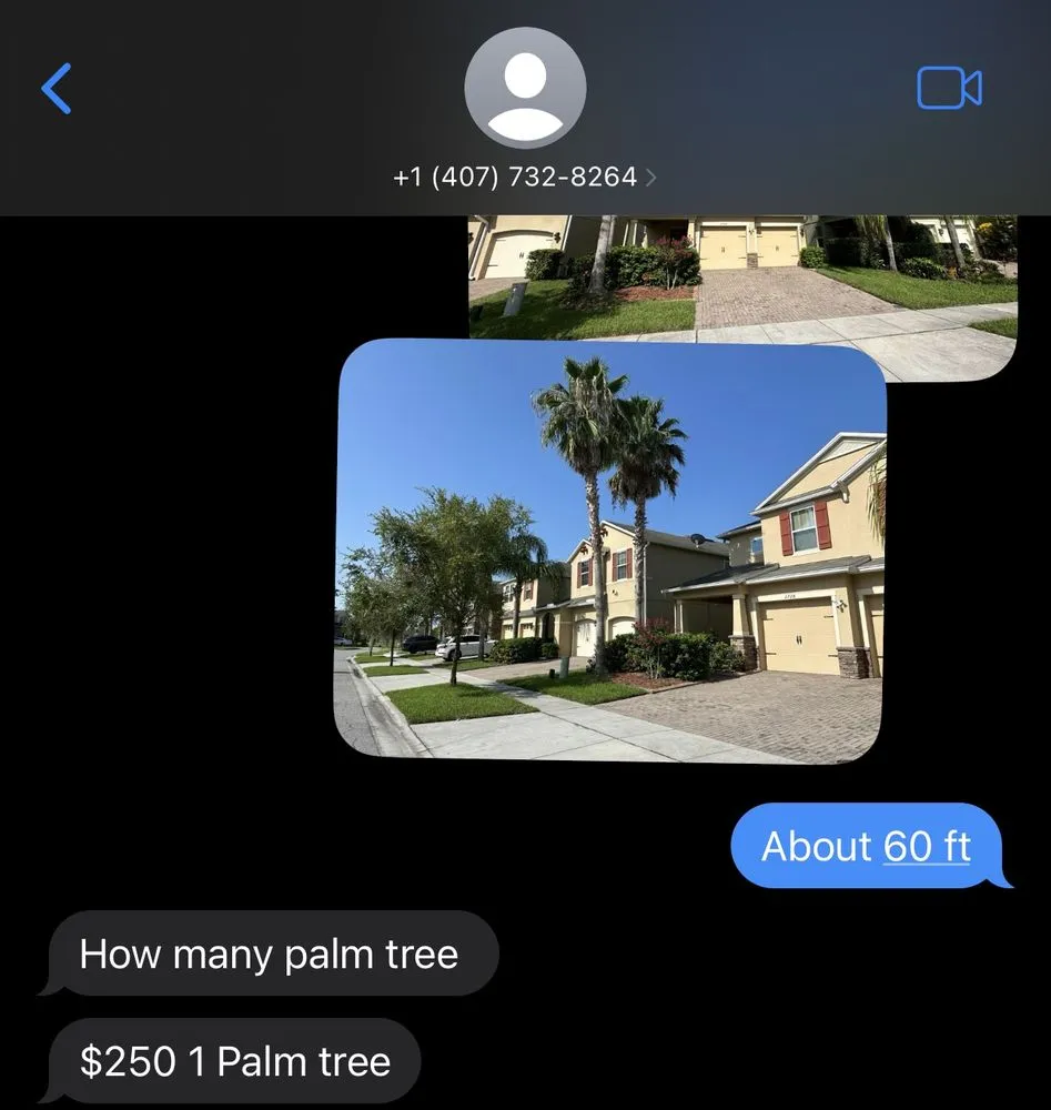 Trusted landscape installation in Alafaya, FL by Lady Maria Landscaping