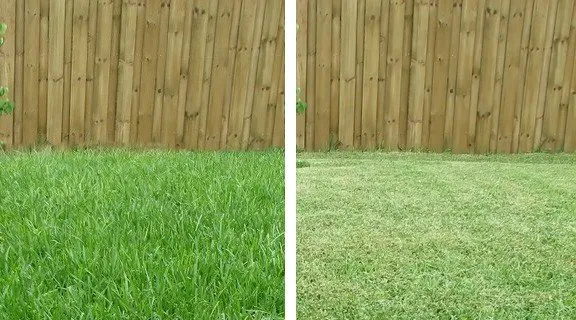 Local residential landscaping in Oak Ridge, TN - Lady Warrior Lawn Services