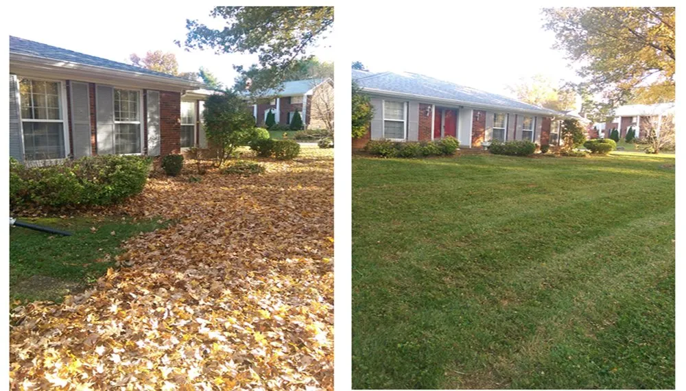 Expert landscape design in Oak Ridge, TN - Lady Warrior Lawn Services
