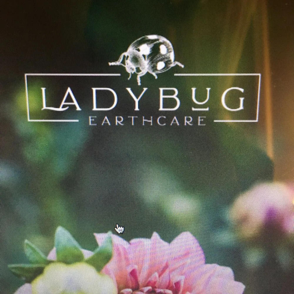 Trusted yard cleanup service in Dillsburg, PA - LadyBug EarthCare