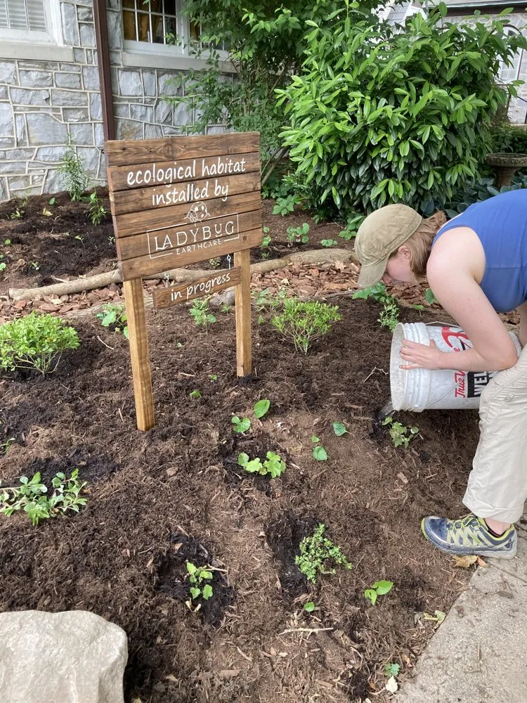 Expert yard cleanup service near you in Dillsburg, PA by LadyBug EarthCare