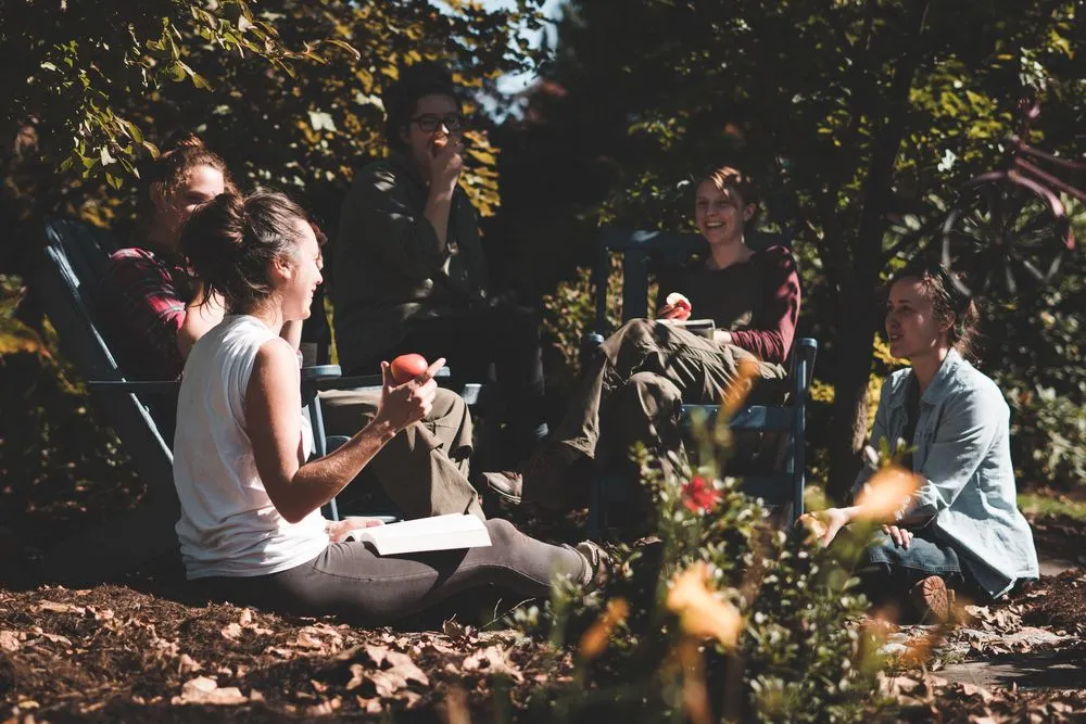 Affordable lawn mowing service in Dillsburg, PA - LadyBug EarthCare