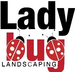 Expert landscaping services for homes across San Antonio, TX - Ladybug Landscapers