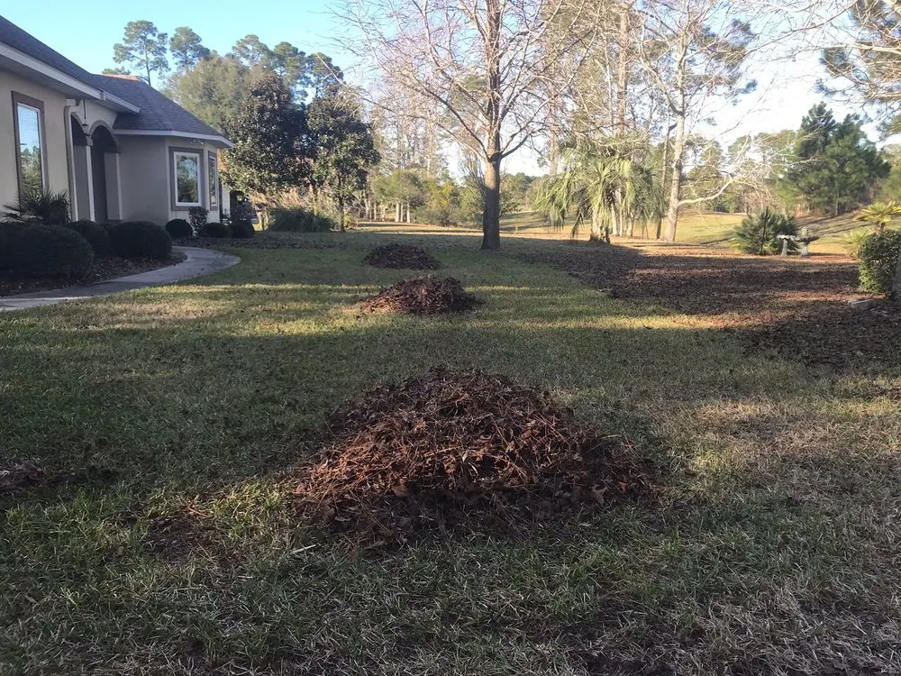 Trusted garden landscaping with custom design across Pensacola, FL - Ladybug Landscaping