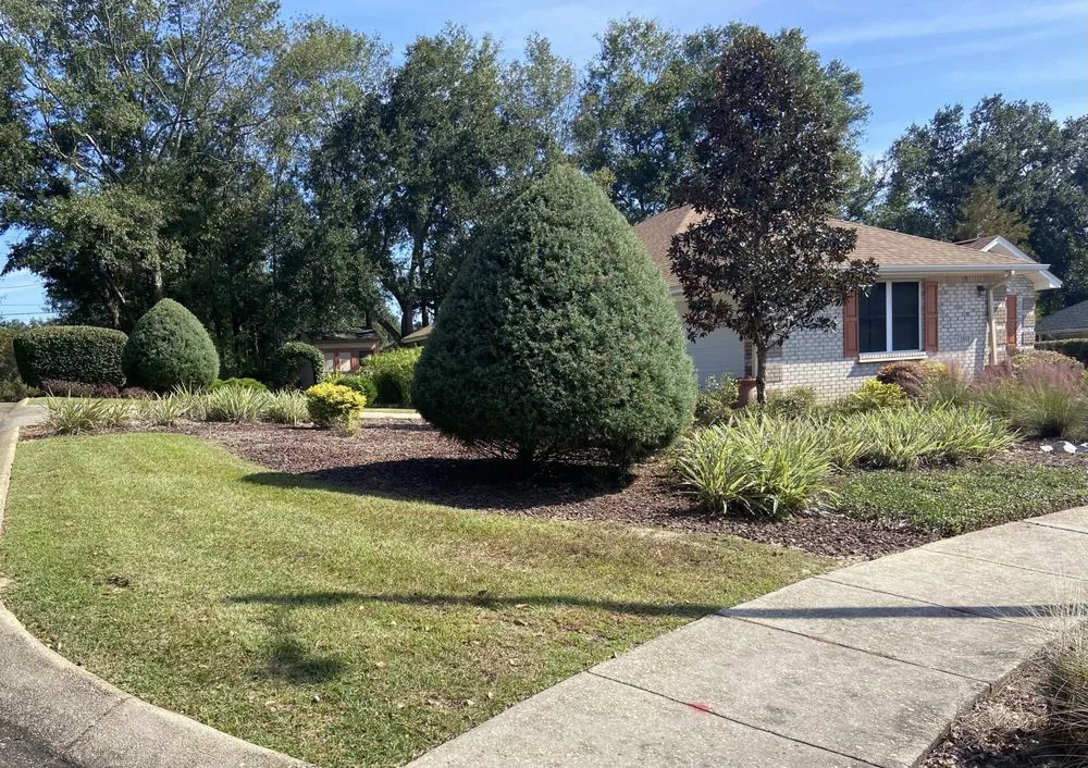 Custom yard maintenance experts serving Pensacola, FL - Ladybug Landscaping