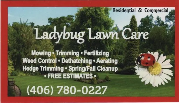Ladybug Lawn Care