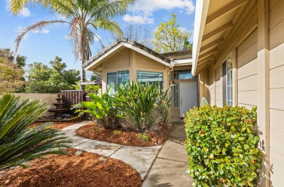 Professional yard maintenance in El Dorado Hills, CA - Ladybug Lawn