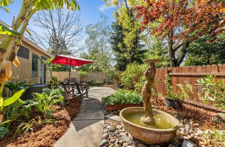 Custom yard cleanup service in El Dorado Hills, CA by Ladybug Lawn
