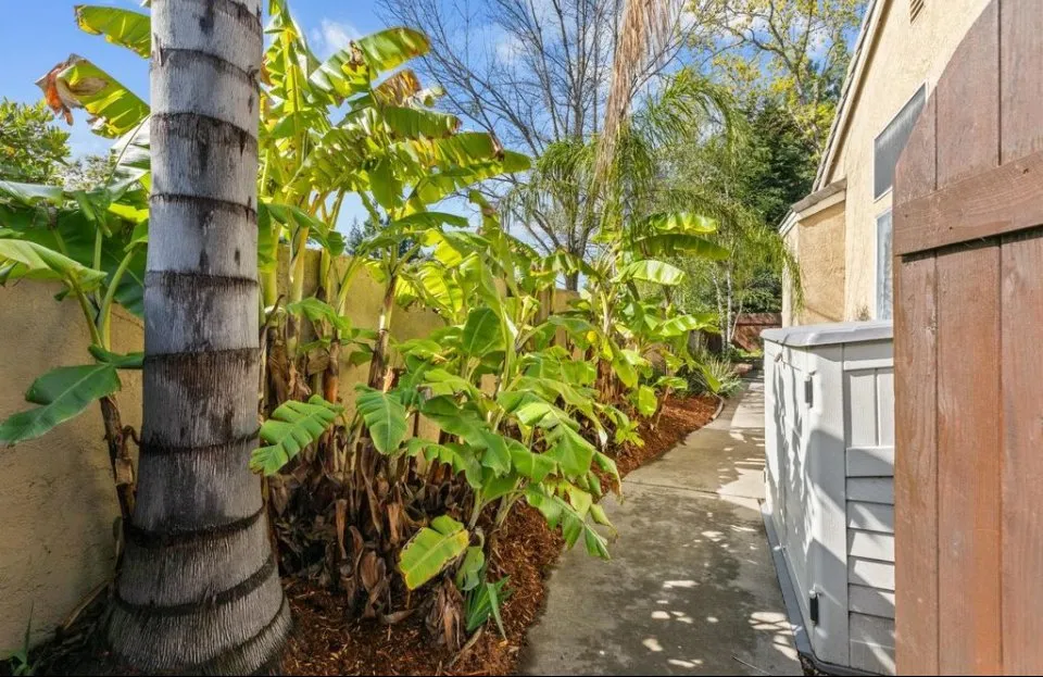 Expert residential landscaping near you in El Dorado Hills, CA by Ladybug Lawn