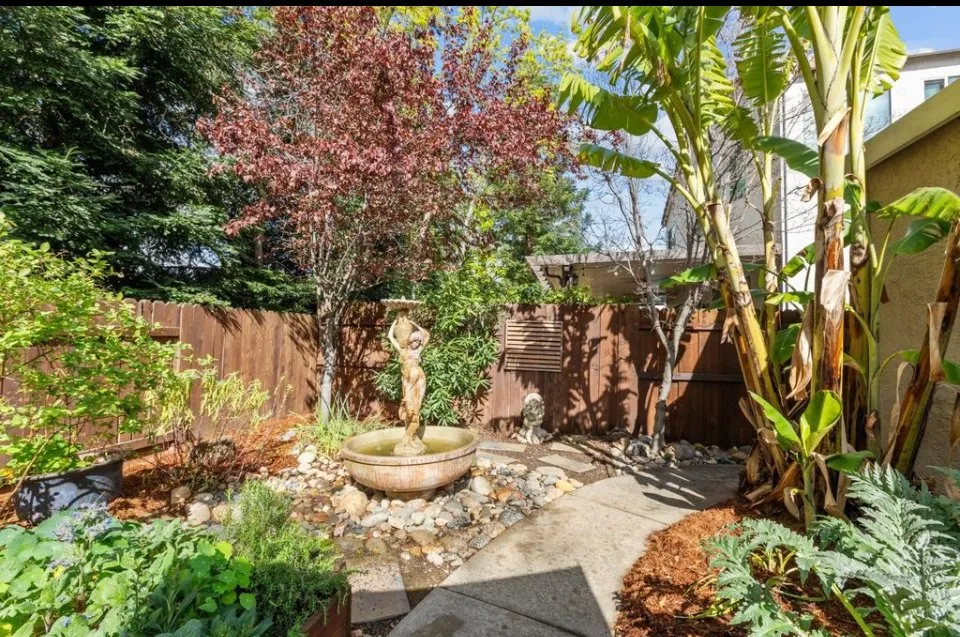 Affordable landscaping services near you across El Dorado Hills, CA - Ladybug Lawn