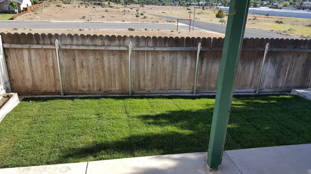 Custom lawn mowing service for homes across Susanville, CA - Ladybug Lawn Maintenance