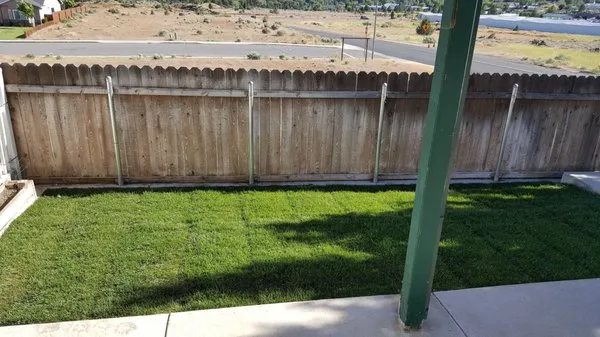 Ladybug Lawn Maintenance