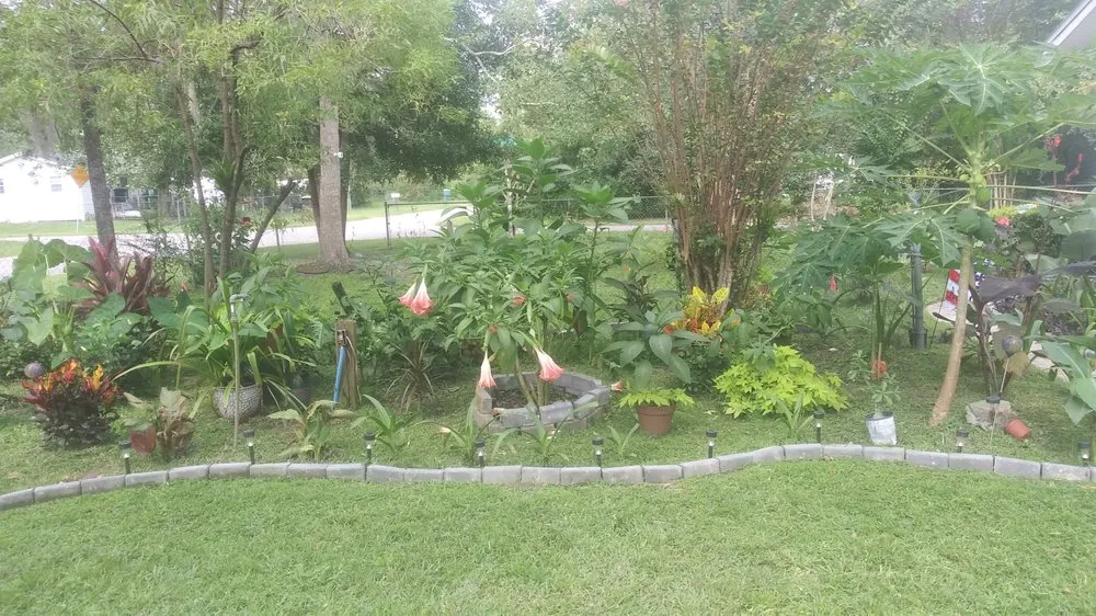 Professional landscape design experts serving Jacksonville, FL - Ladycat's Lawns, Landscaping and More