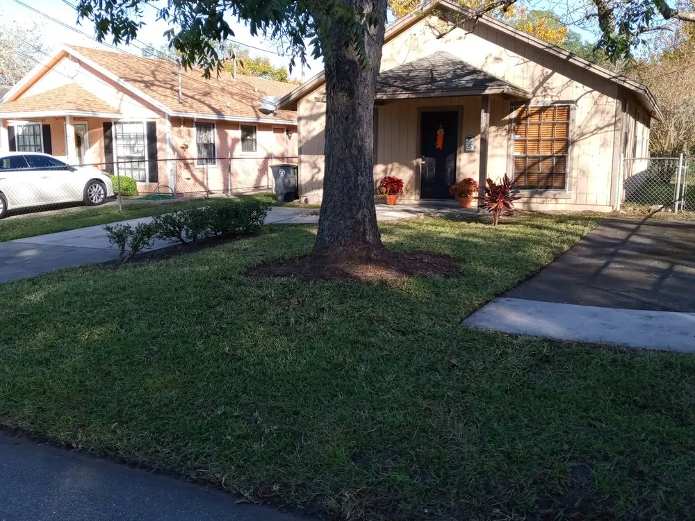 Custom yard cleanup service experts serving Jacksonville, FL - Ladycat's Lawns, Landscaping and More