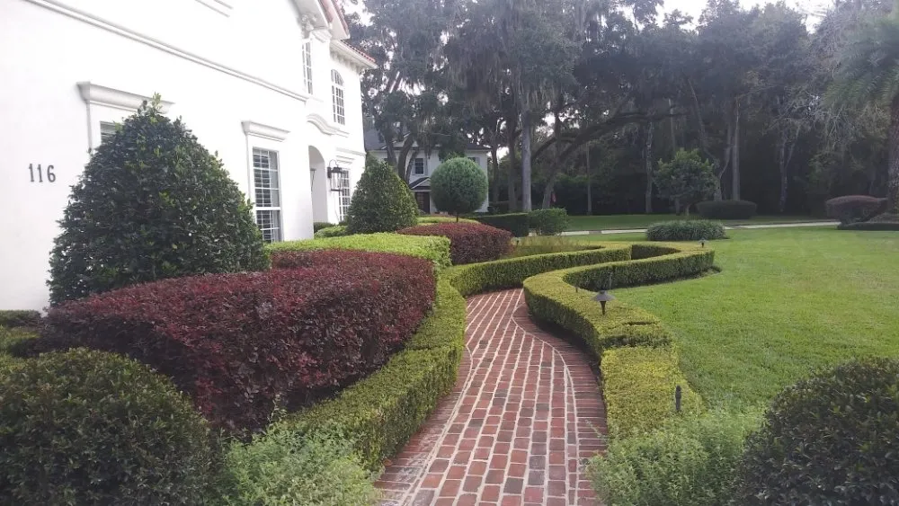 Trusted yard maintenance in Jacksonville, FL by Ladycat's Lawns, Landscaping and More